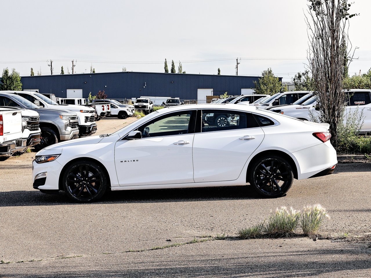2024 Chevrolet Malibu 4dr Sdn 1LT White Sherwood Park - photo #9