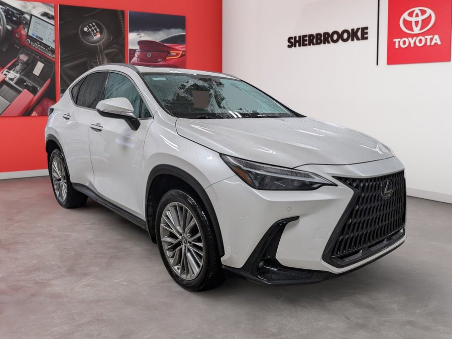 2022 Lexus NX 2022 White