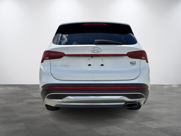 2023 Hyundai Santa Fe White Thetford Mines - photo #3