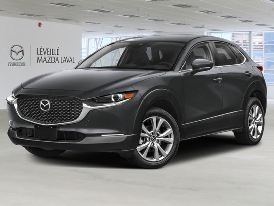 2025 Mazda CX-30 2025 Machine Grey Metallic