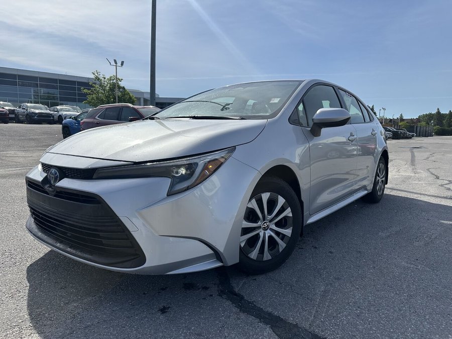 TOYOTA COROLLA LE 2024 2024 Gris