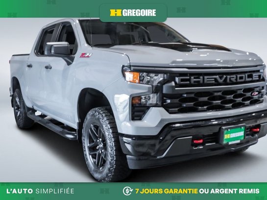 2024 Chevrolet Silverado 1500 2024 Grey
