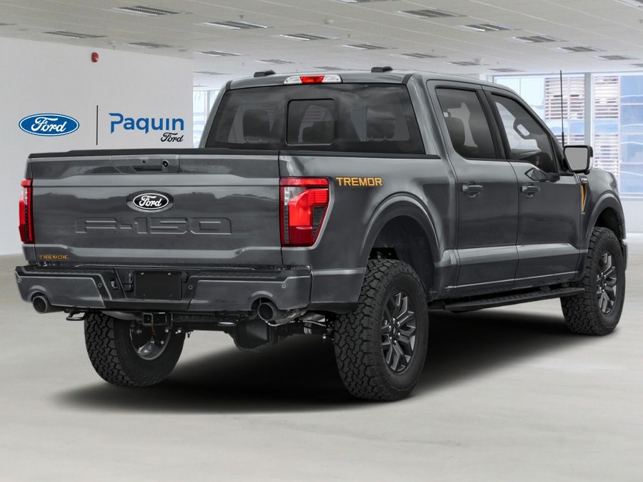 Ford F-150 2026 2026 Gris carbonisé métallisé