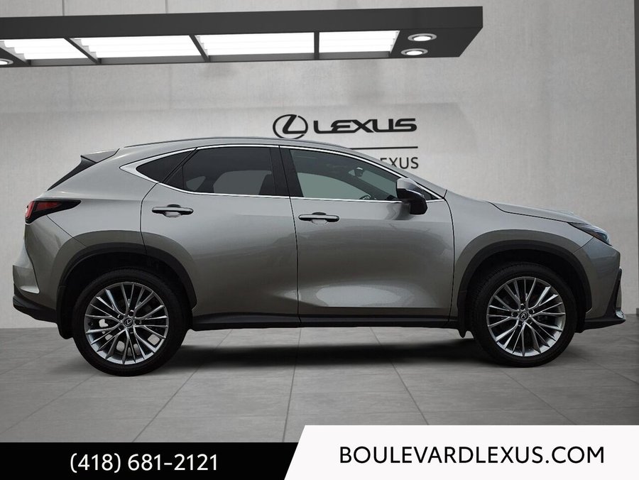 Lexus NX 2024 2024 Argent
