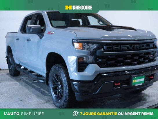 2024 Chevrolet Silverado 1500 2024 Grey