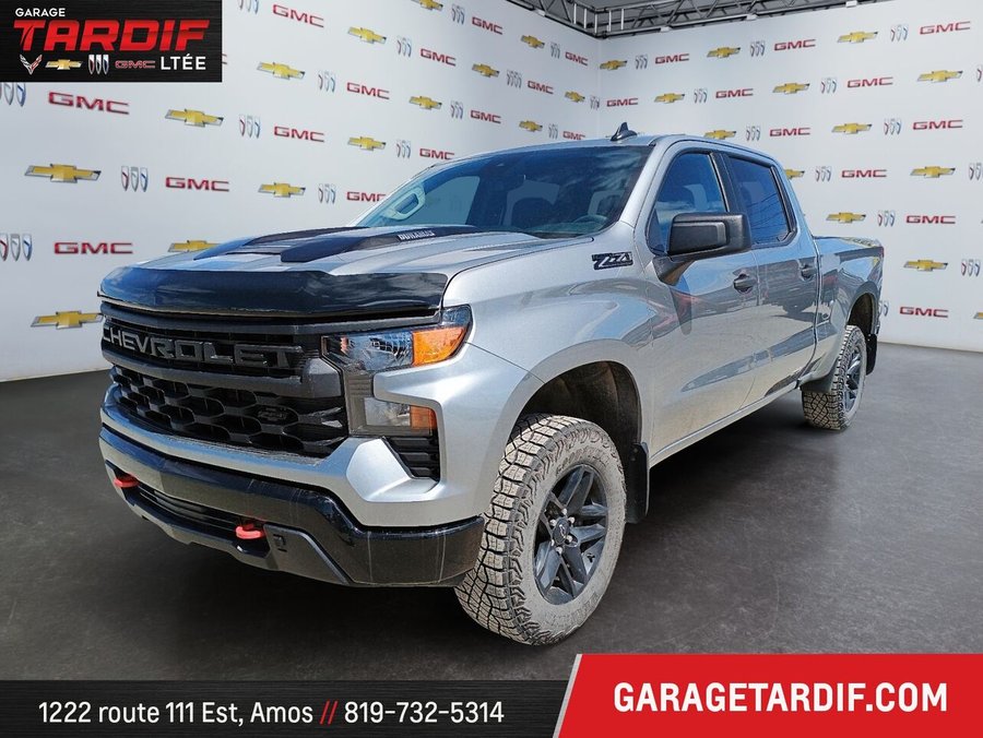 CHEVROLET Silverado 1500 2024 2024 Gris
