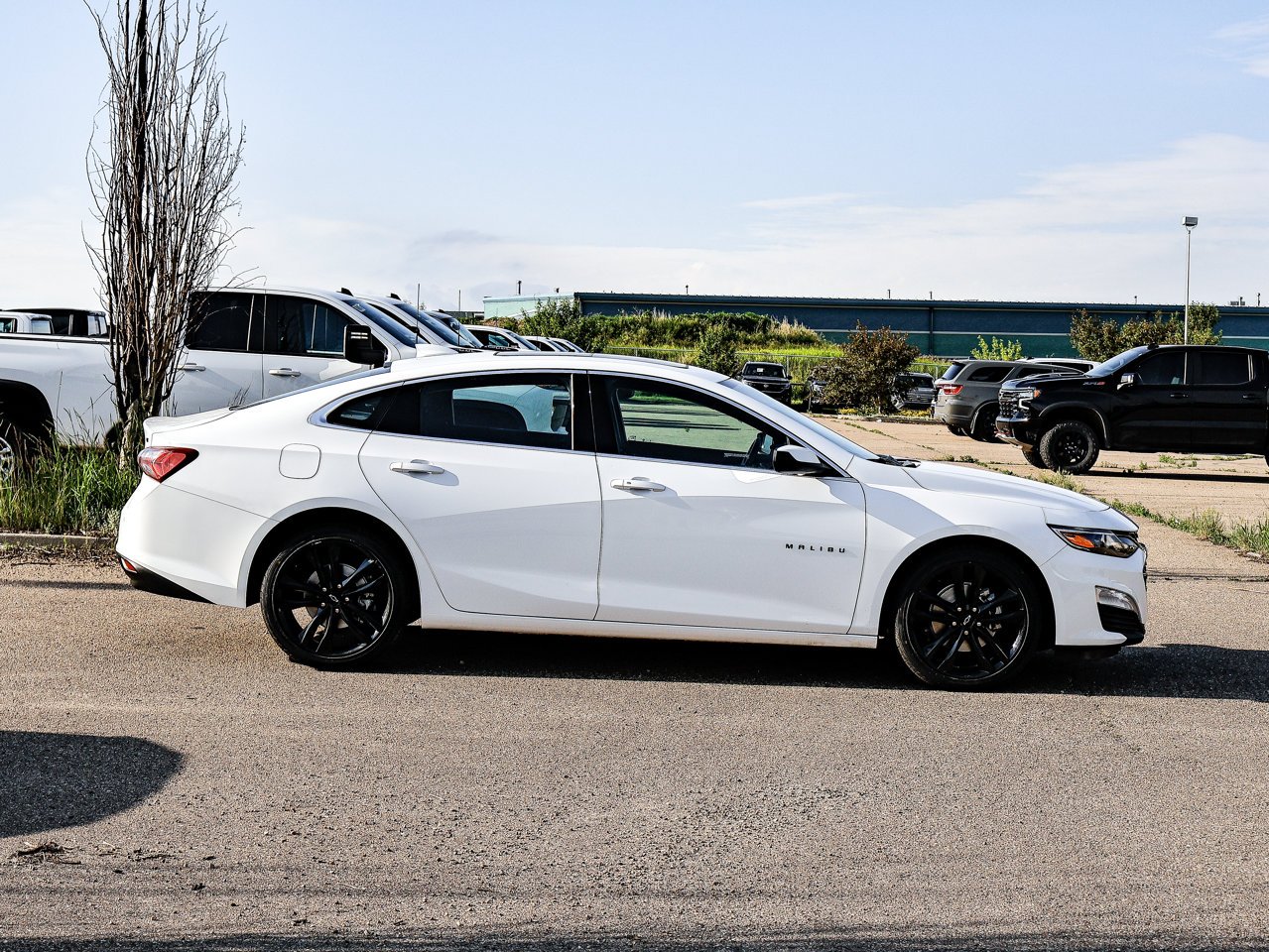 2024 Chevrolet Malibu 4dr Sdn 1LT White Sherwood Park - photo #13