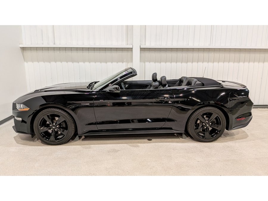 Ford Mustang EcoBoost Premium Convertible 2023 Noir