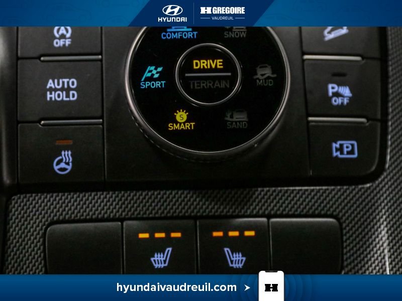 Hyundai Santa Fe 2023 Gris Saint-Eustache - photo #32