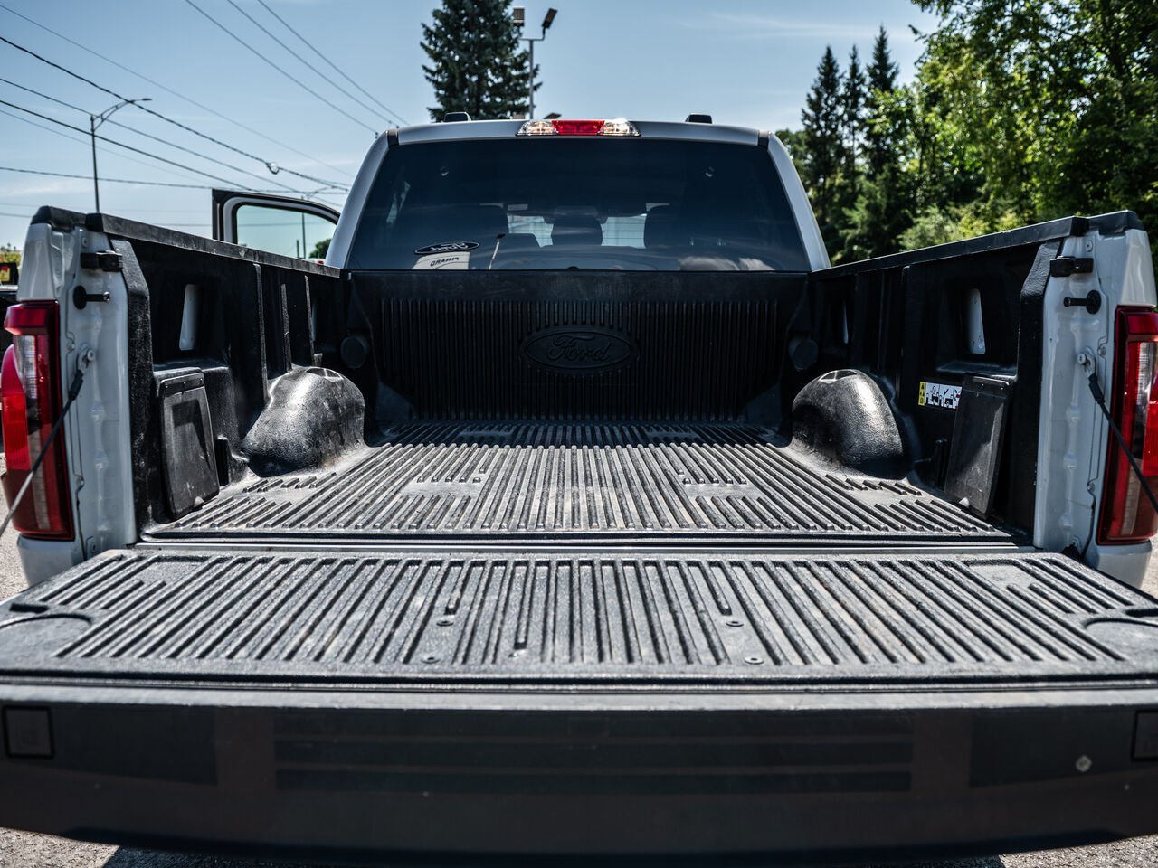 Ford F-150 2024 Gris Sainte-Julienne - photo #8