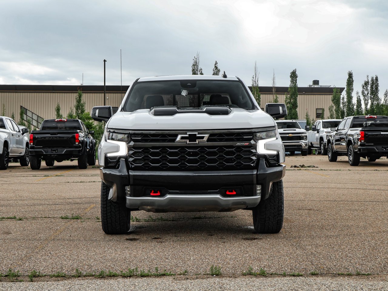 2022 Chevrolet Silverado 1500 4WD Crew Cab 147 ZR2 White Sherwood Park - photo #2