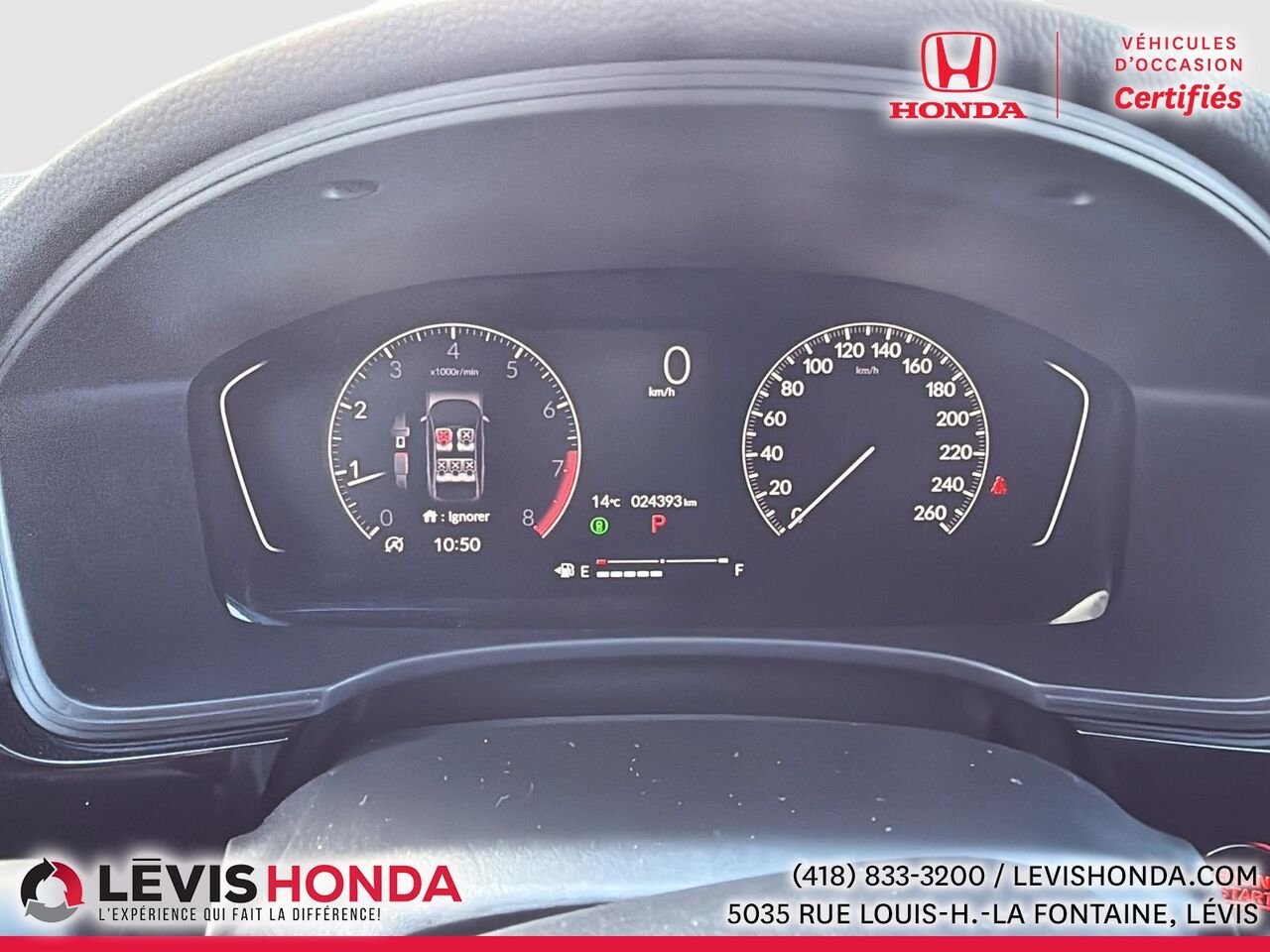Honda Civic EX EX CVT 2024 Blanc Lévis - photo #23