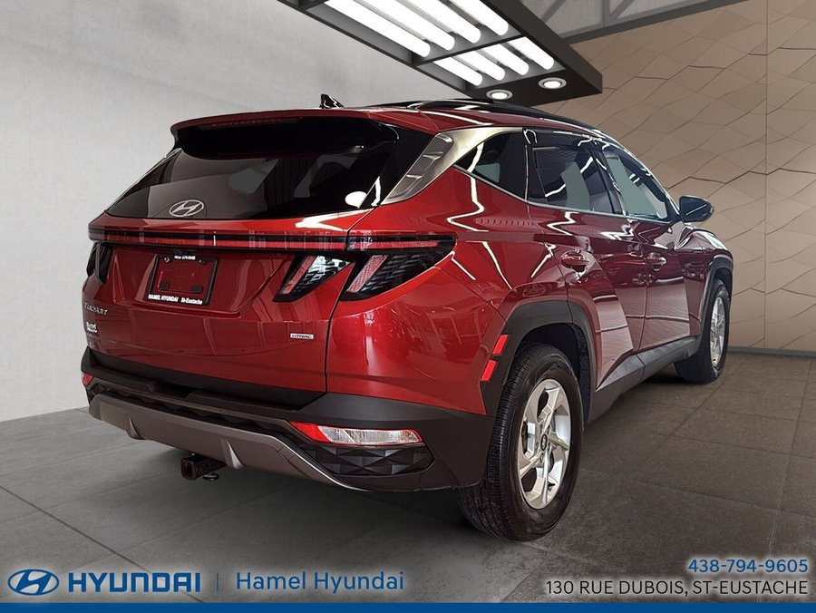 Hyundai Tucson 2024 2024 Rouge