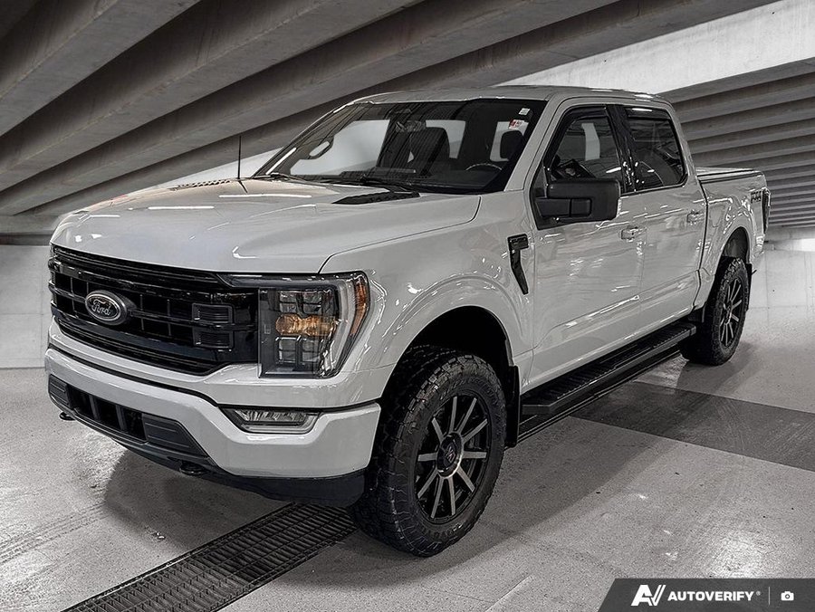 2023 Ford F-150 2023 gray
