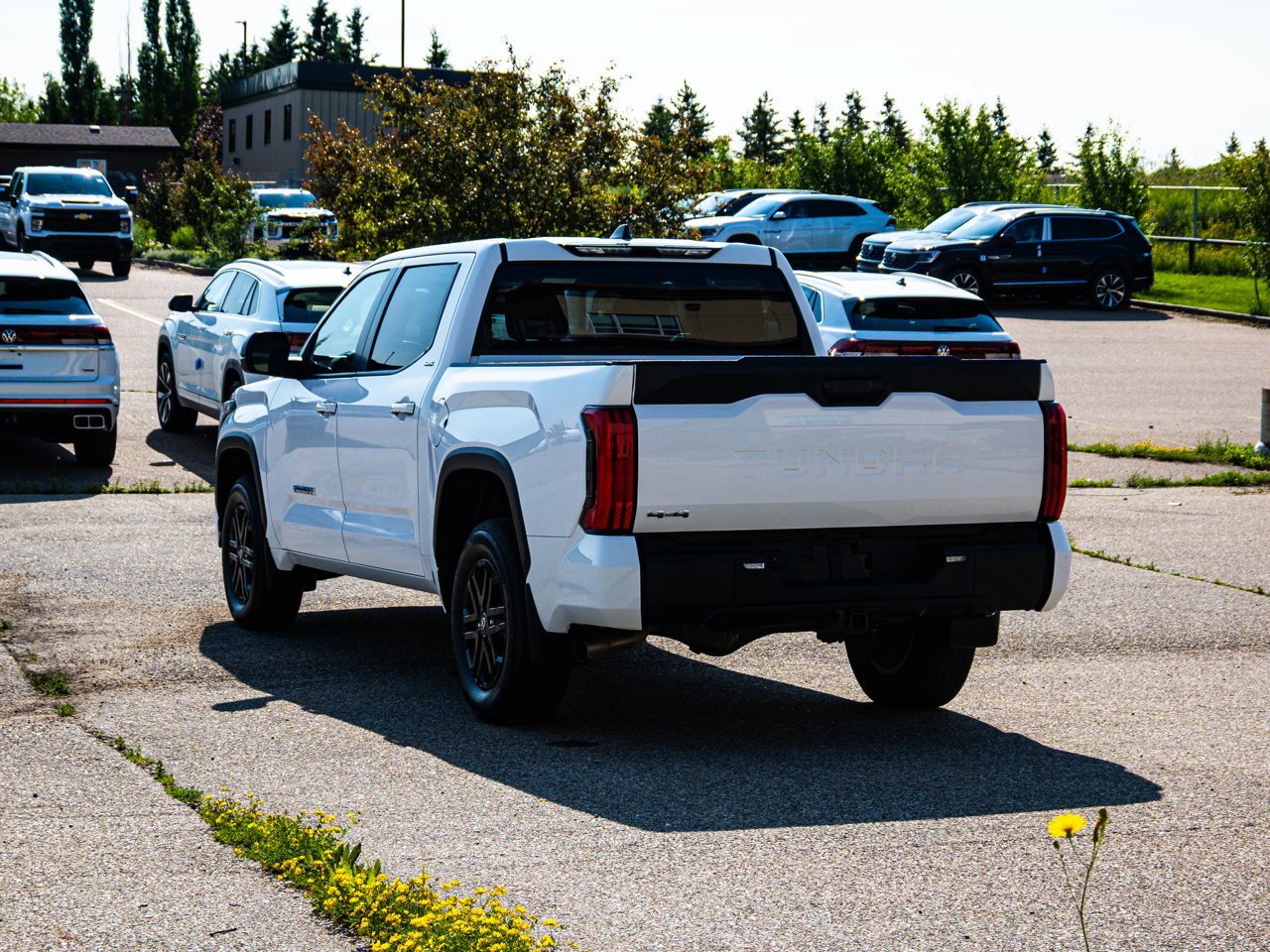 2025 Toyota Tundra 4x4 Crewmax SR White Sherwood Park - photo #10