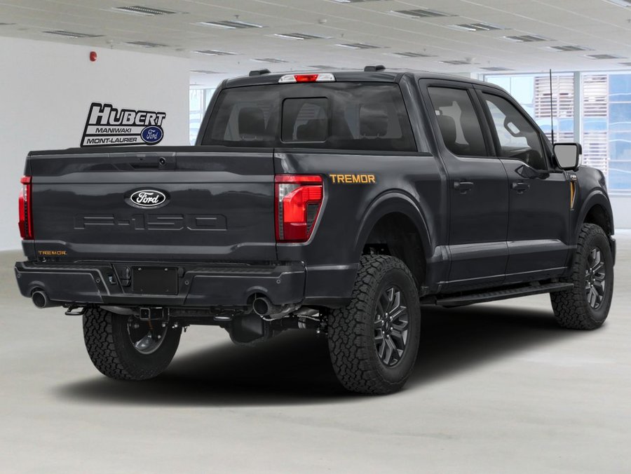 Ford F-150 2026 2026 Noir agate métallisé