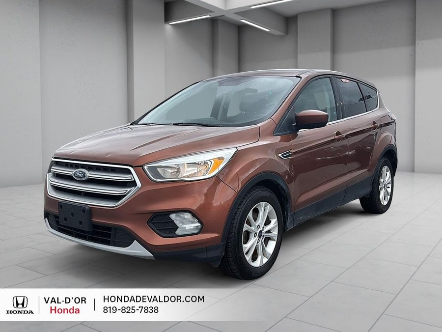 Ford Escape 2017 2017 Orange