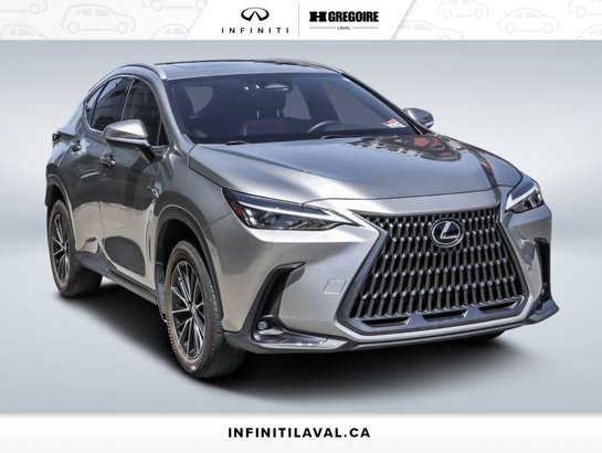 2024 Lexus NX 2024 