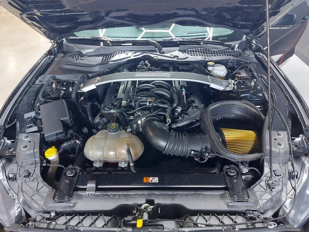 2018 Ford Mustang Shelby GT 350R Rare Black Blainville - photo #21