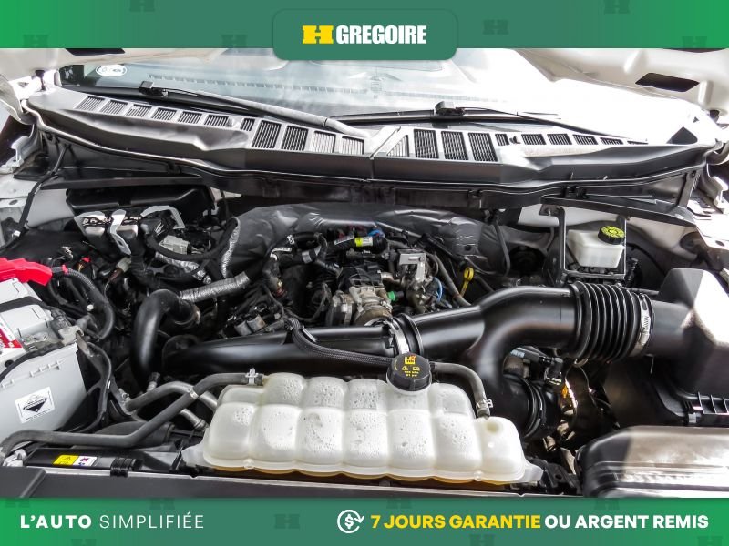 2021 Ford F150 White Saint-Eustache - photo #33