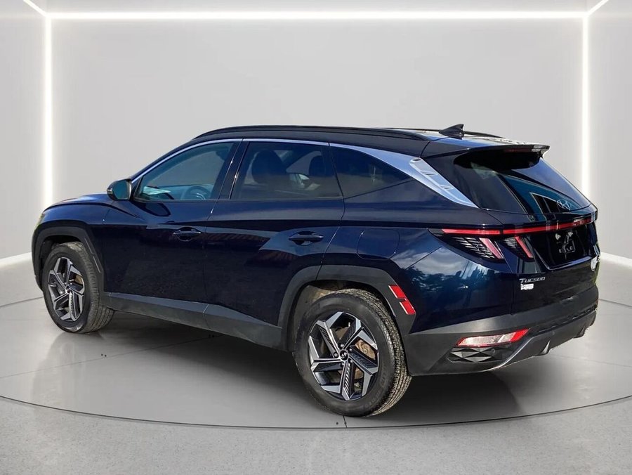 2023 Hyundai Tucson Hybrid 2023 Blue