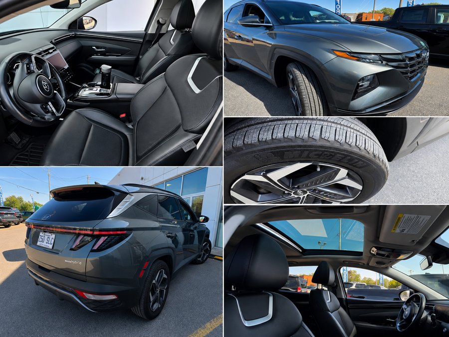 Hyundai Tucson hybride 2023 2023 Gris