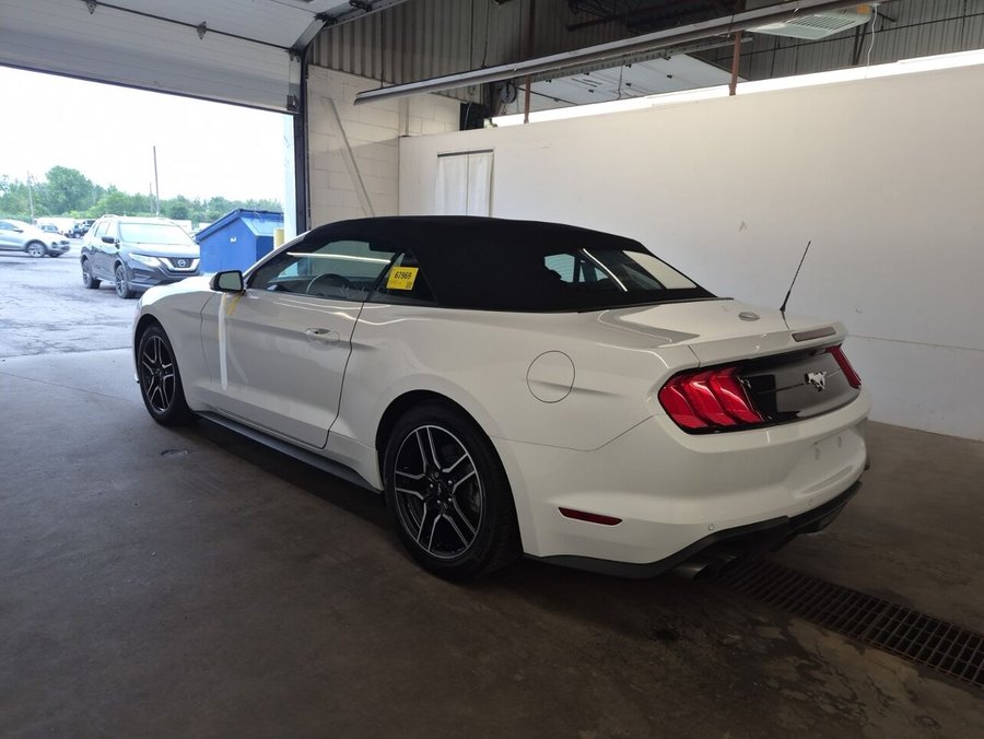 2022 Ford Mustang CONVERTIBLE 2022 White