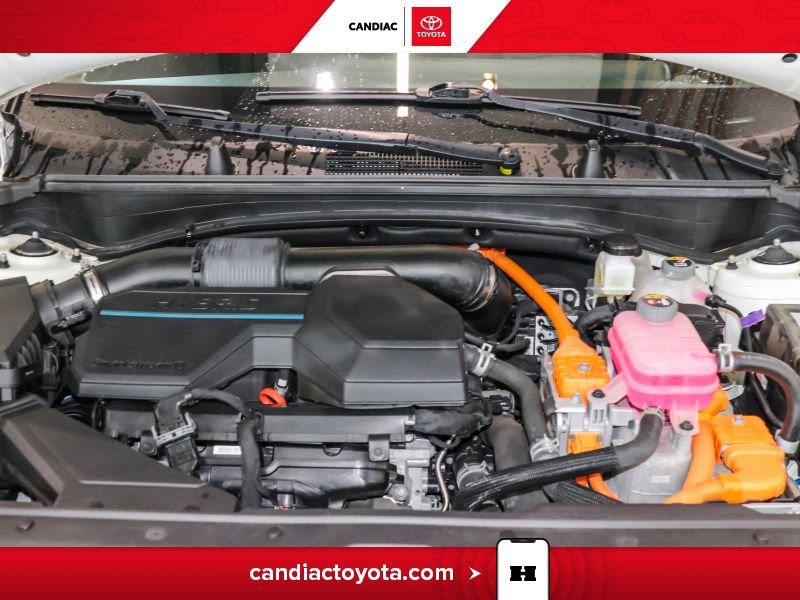 Kia Sportage 2023 Blanc Blainville - photo #32