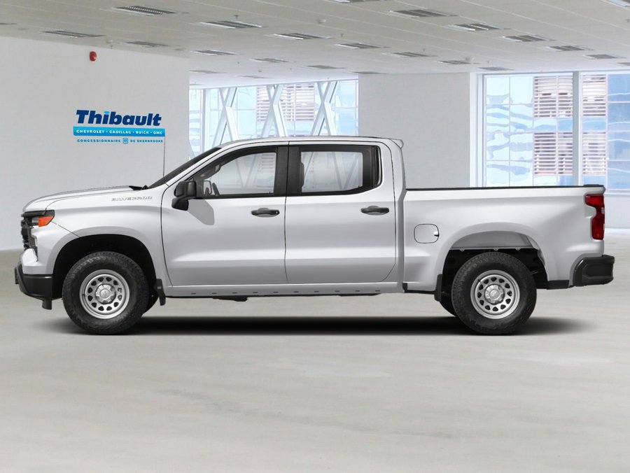 2024 CHEVROLET Silverado 1500 2024 Iridescent Pearl Tricoat