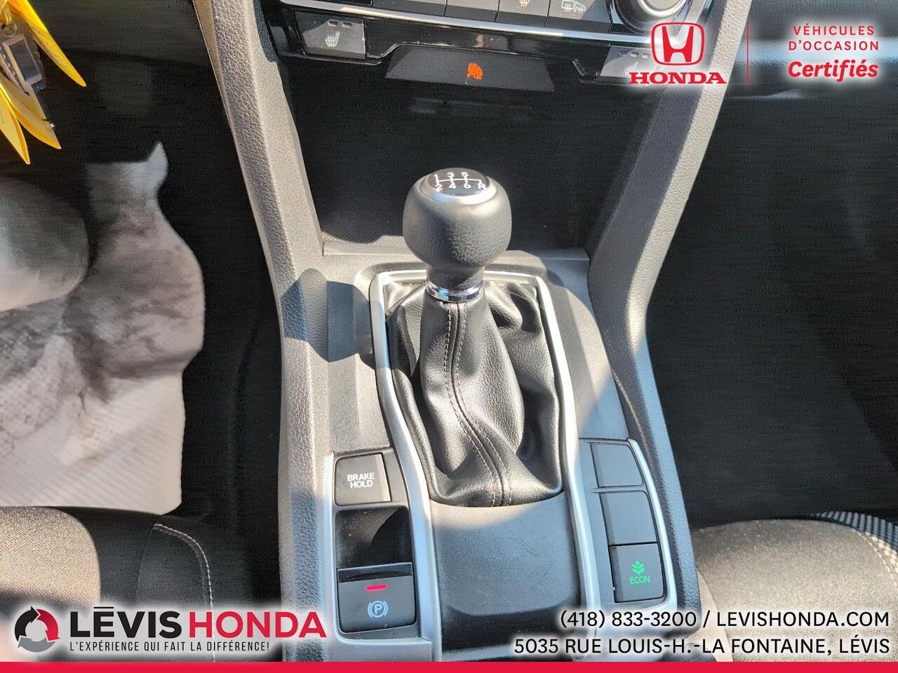 2019 Honda Civic LX LX BM White Lévis - photo #27
