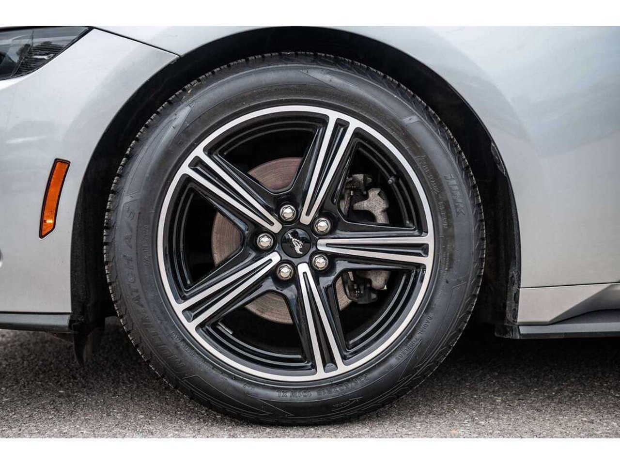 2025 Ford Mustang Silver Sainte-Julienne - photo #10