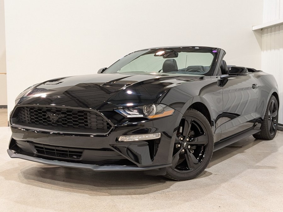 Ford Mustang EcoBoost Premium Convertible 2023 Noir
