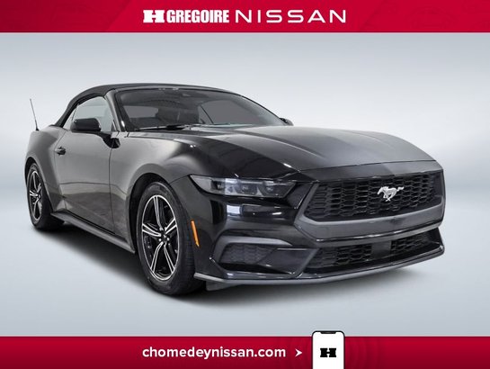 2025 Ford Mustang 2025 Black