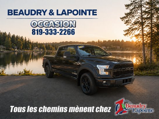 Ford F-150 2017 2017 Noir