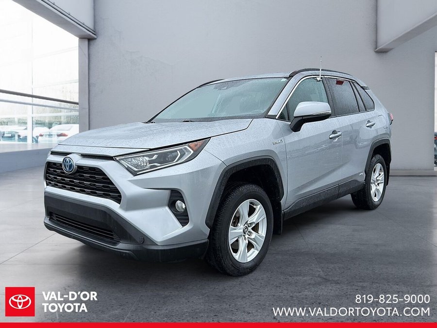 2019 Toyota RAV4 2019 Silver