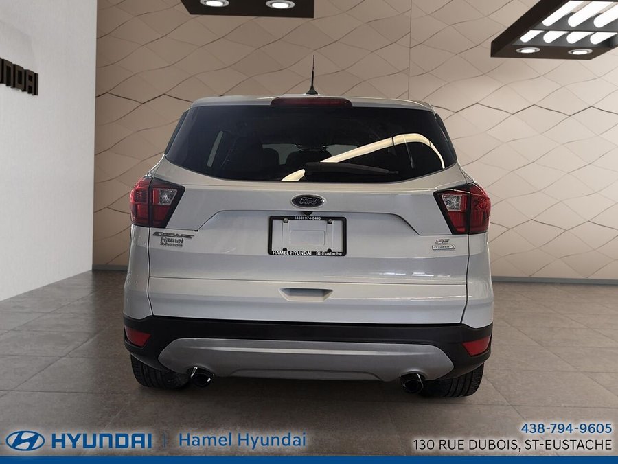 Ford Escape 2019 2019 Blanc