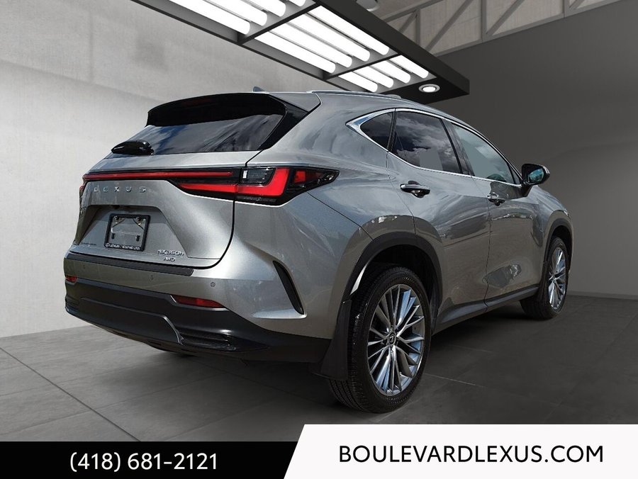 Lexus NX 2024 2024 Argent