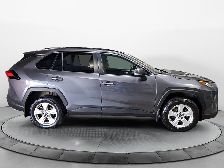 2019 Toyota RAV4 2019 Magnetic Grey Metallic