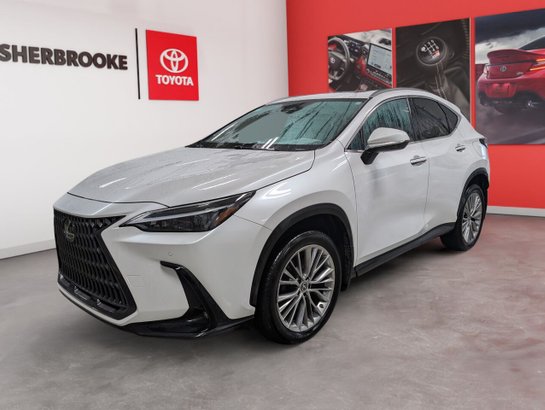 2022 Lexus NX 2022 White