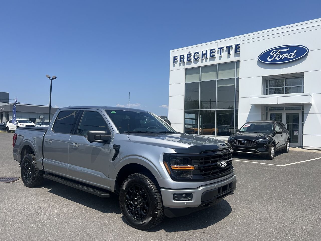 Ford F-150 2026 Gris Montmagny - photo #0