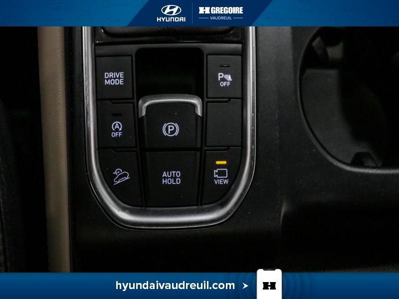 2019 Hyundai Santa Fe Grey Saint-Eustache - photo #37