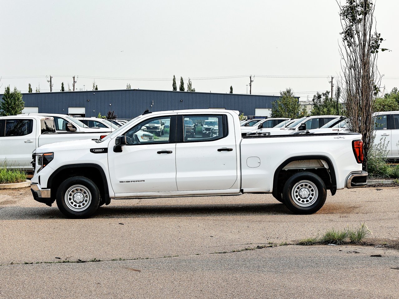 2024 GMC Sierra 1500 4WD Crew Cab 147 Pro White Sherwood Park - photo #9