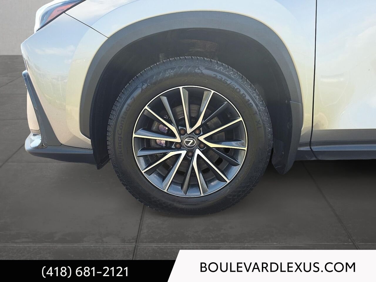 Lexus NX 19935A | NX 350h TI 2024 Argent Québec - photo #6