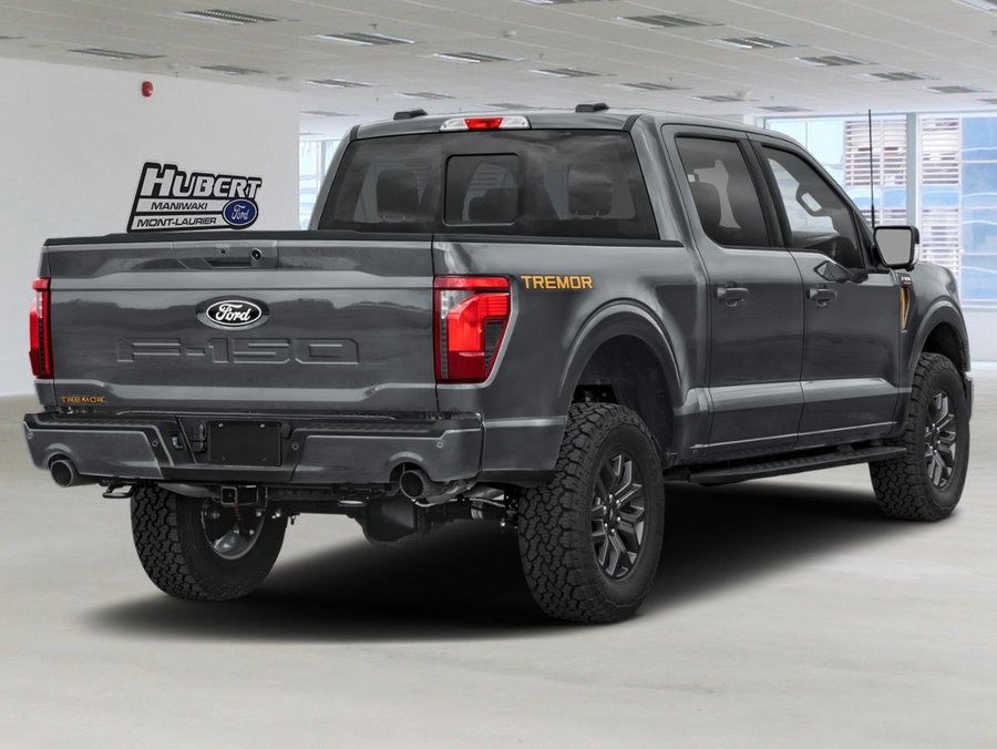 Ford F-150 2026 2026 Gris carbonisé métallisé