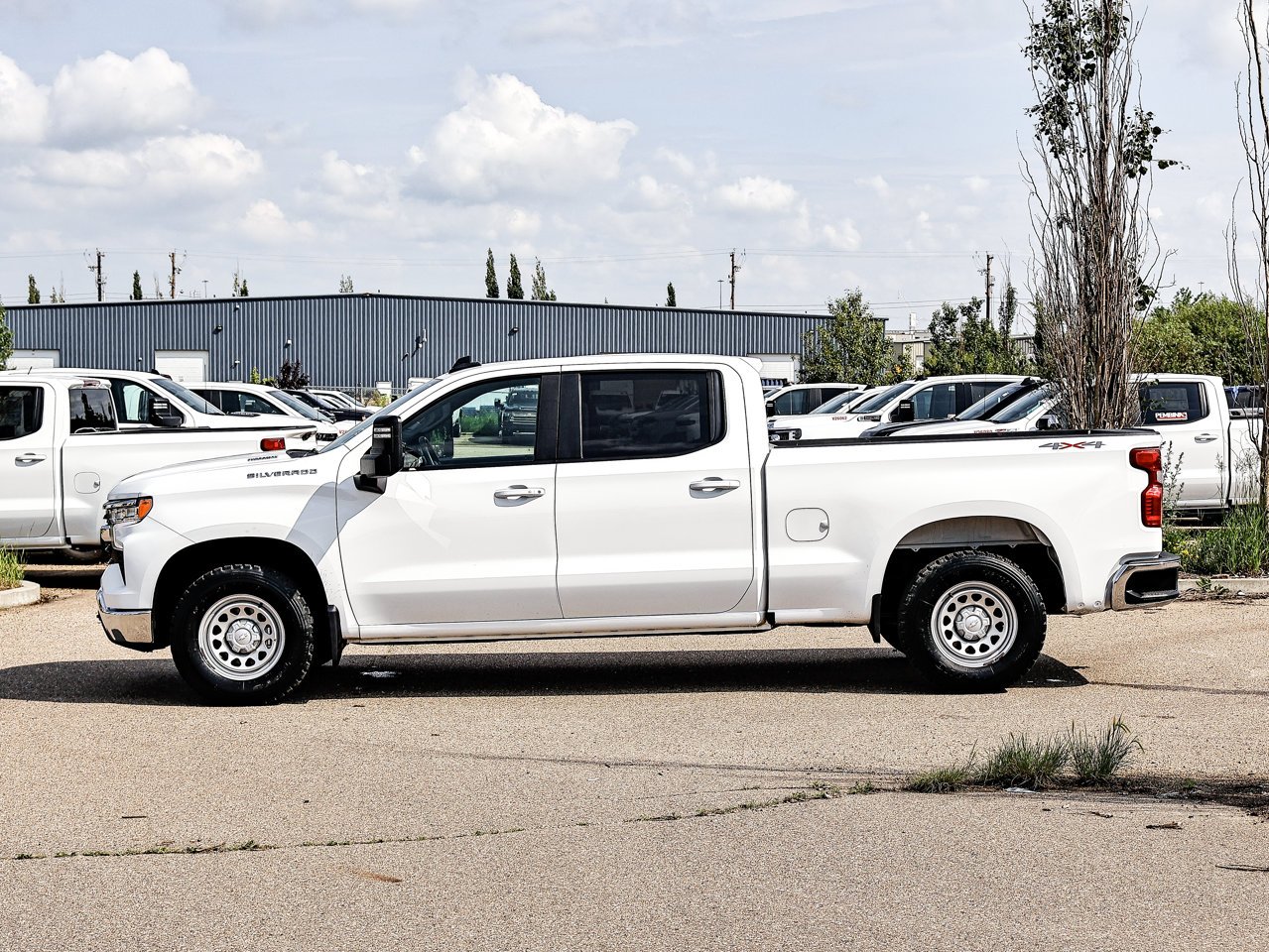 2025 Chevrolet Silverado 1500 4WD Crew Cab 147 LT White Sherwood Park - photo #9
