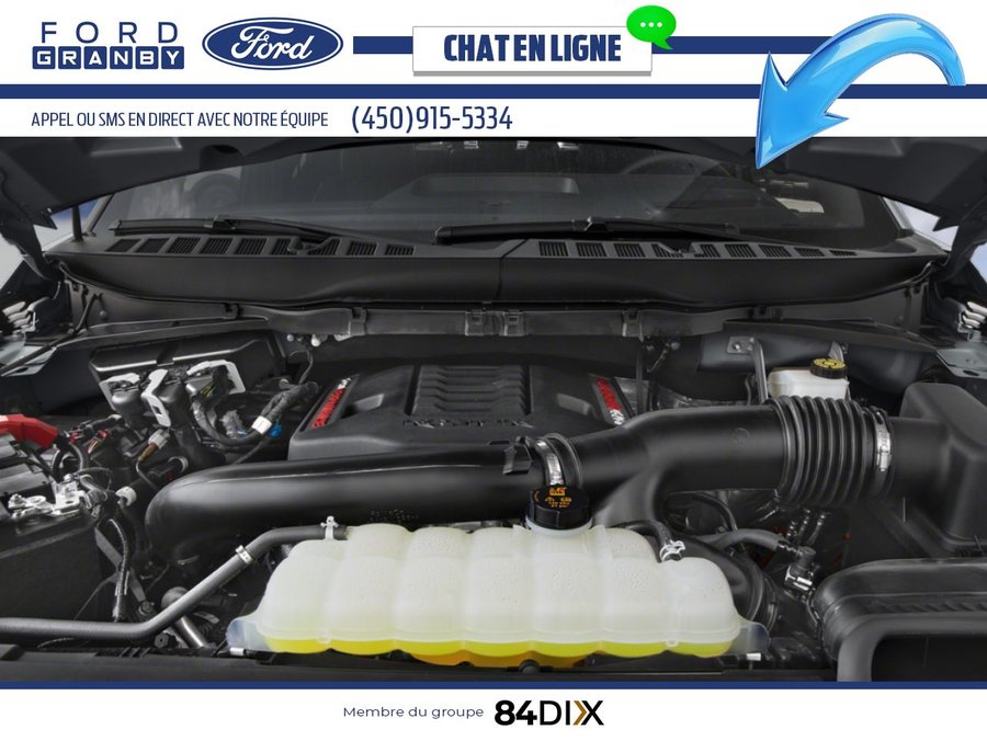 2025 Ford F-150 Shelter Green