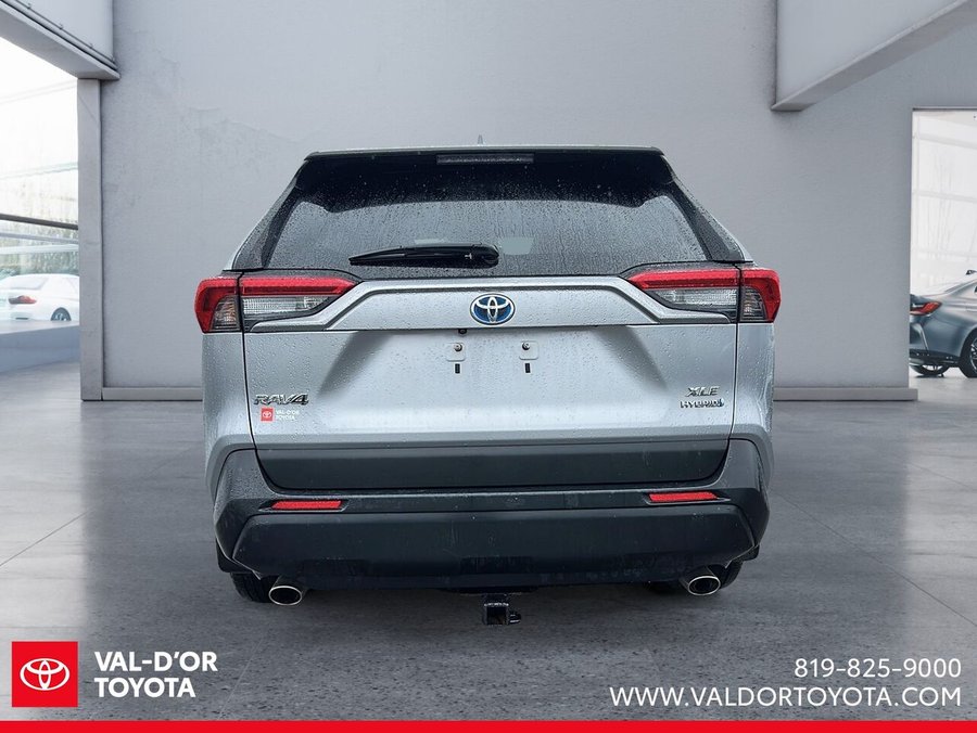 2019 Toyota RAV4 2019 Silver