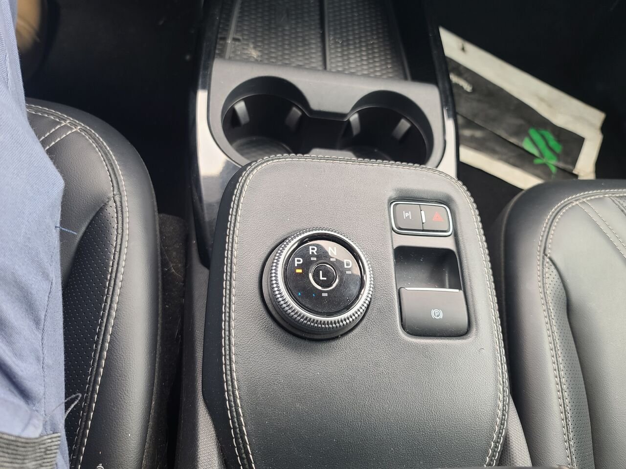 2021 Ford Mustang Mach-E Black  - photo #10