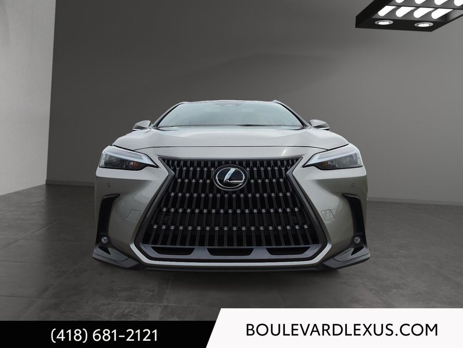 Lexus NX 2024 2024 Argent
