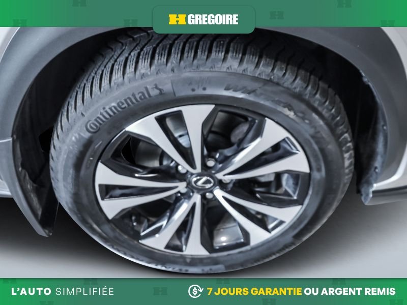 Lexus NX 2019 Gris Blainville - photo #27